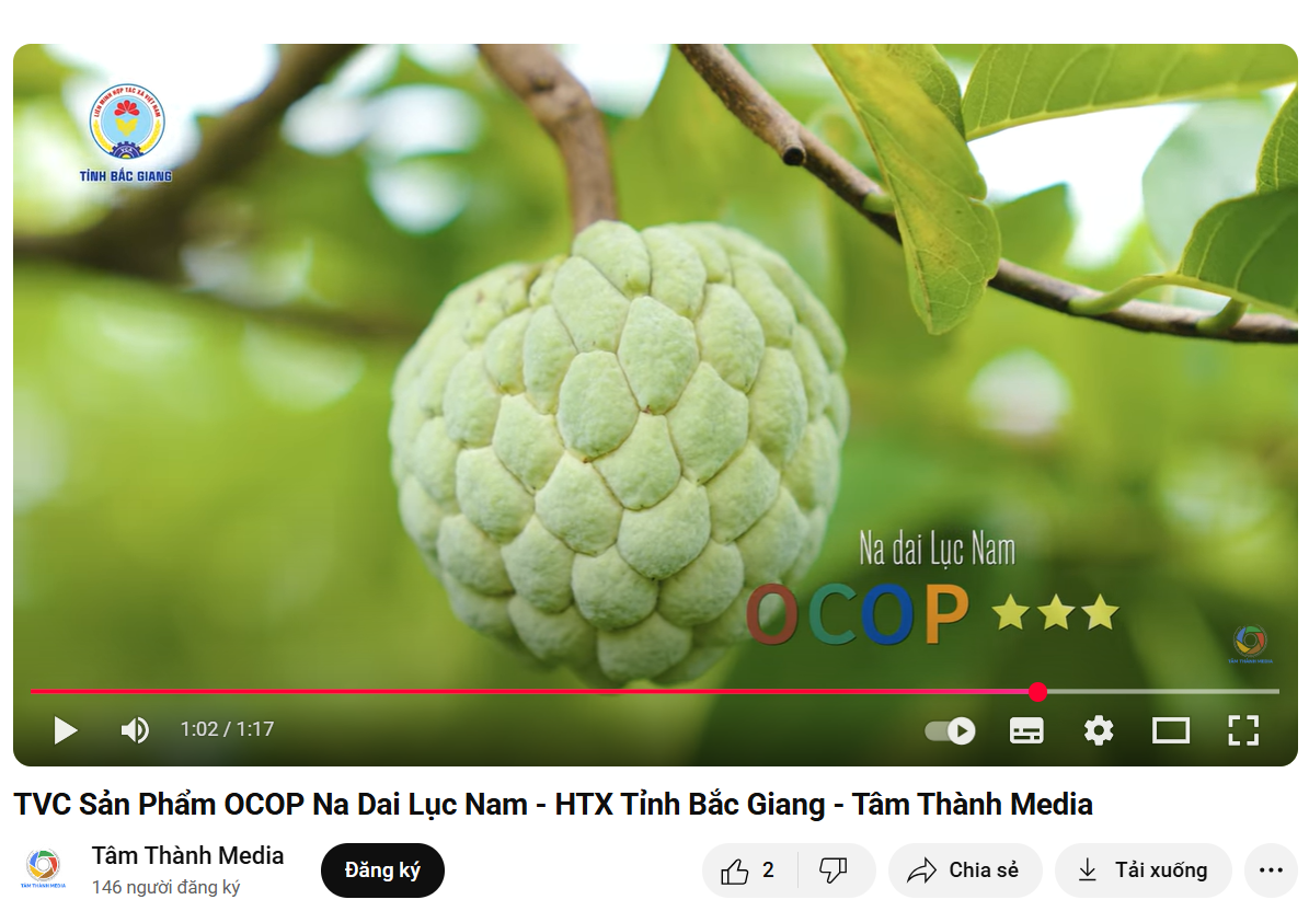 nh-chup-man-hinh-2025-09-10-235441.png