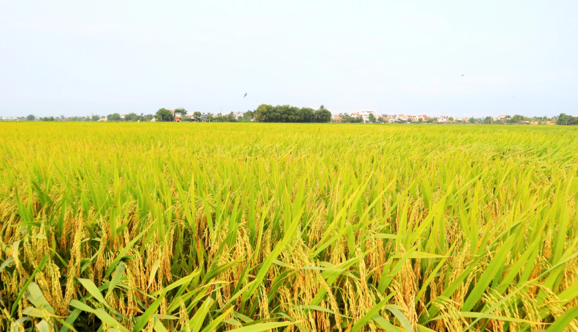 nh-chup-man-hinh-2025-10-31-231904